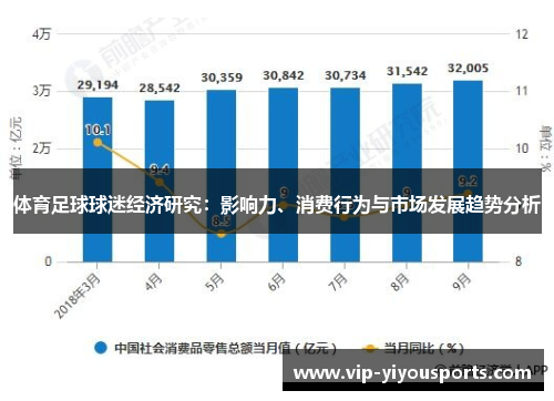 体育足球球迷经济研究：影响力、消费行为与市场发展趋势分析