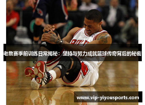 老詹赛季前训练日常揭秘：坚持与努力成就篮球传奇背后的秘密