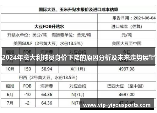 2024年意大利球员身价下降的原因分析及未来走势展望