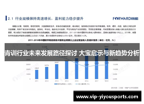 青训行业未来发展路径探讨 大宝启示与新趋势分析