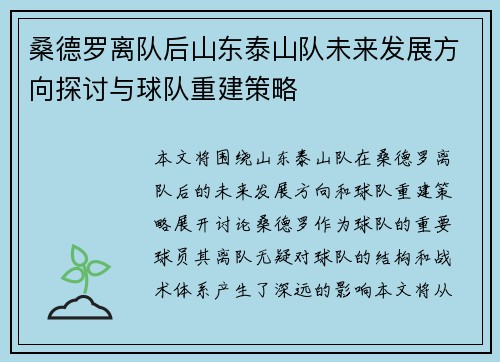 桑德罗离队后山东泰山队未来发展方向探讨与球队重建策略