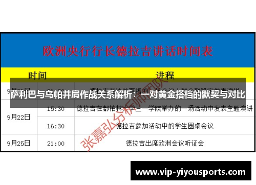 萨利巴与乌帕并肩作战关系解析：一对黄金搭档的默契与对比
